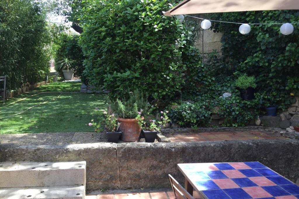 La Cassirene - Maisonnette Centre Cassis - Jardin Luaran gambar